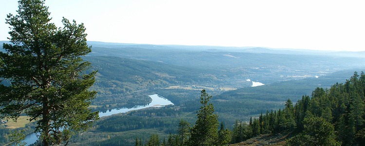 Moving to Värmland