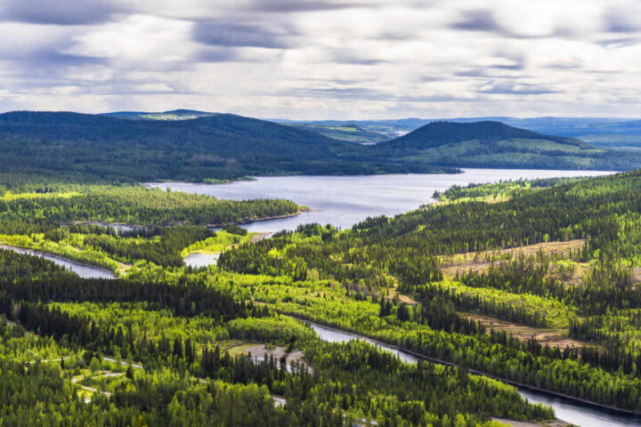 Moving to Västerbotten