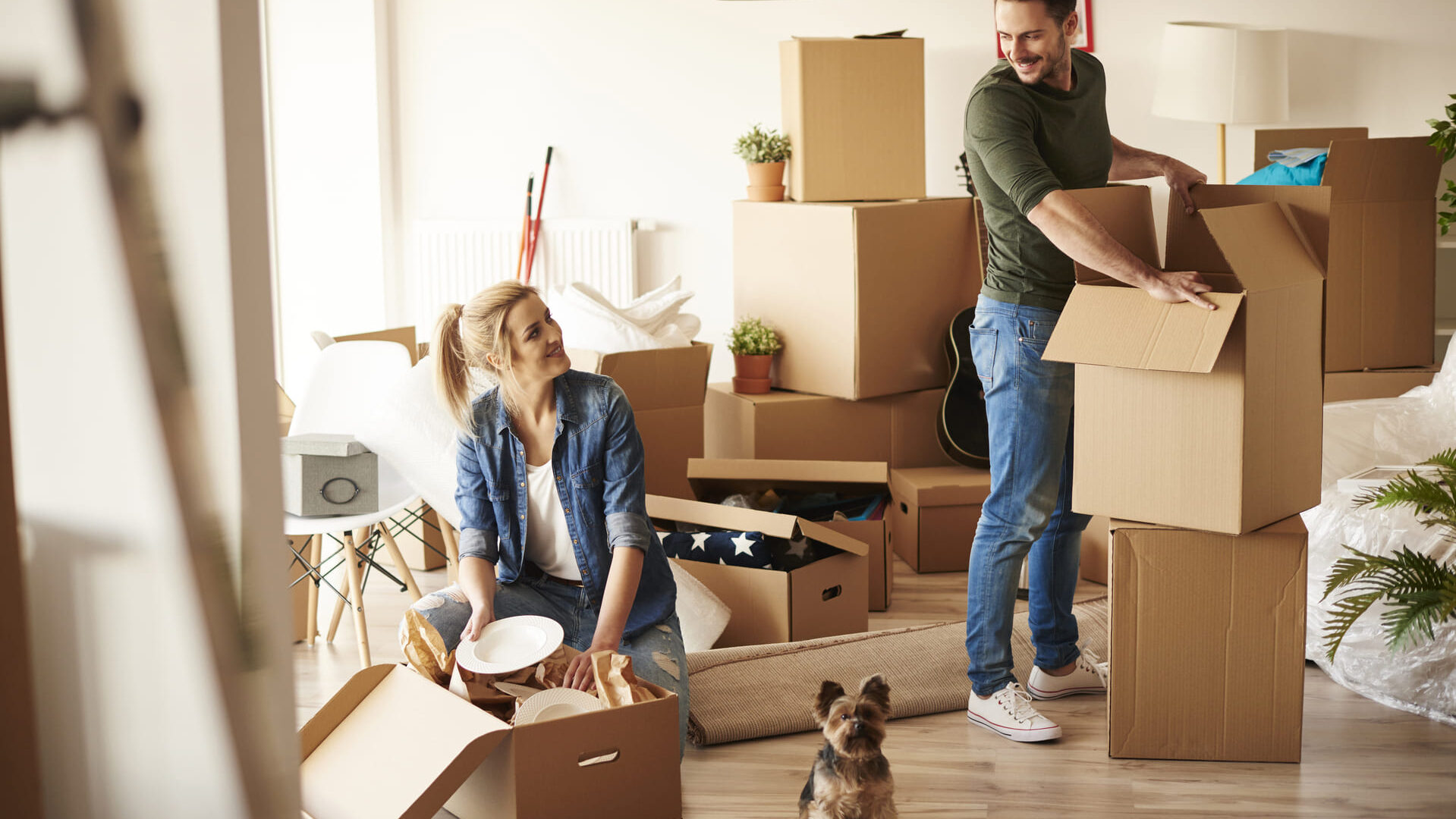 Tips packning